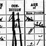 Image of the 1871 census return for Amersham